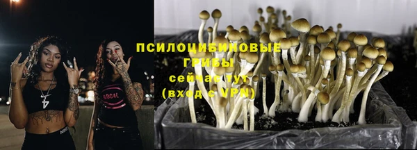 прущая мука Гусиноозёрск