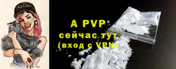 тгк Гусев