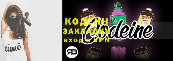 тгк Гусев