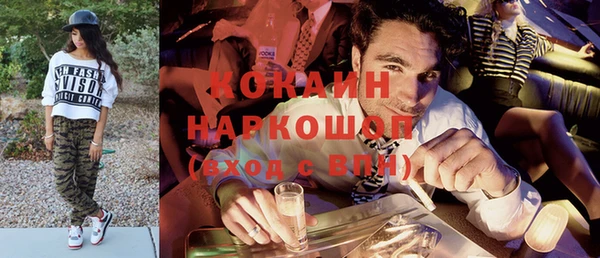 тгк Гусев