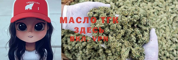 тгк Гусев
