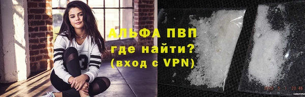 тгк Гусев