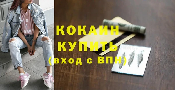 тгк Гусев
