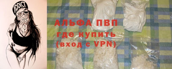 тгк Гусев